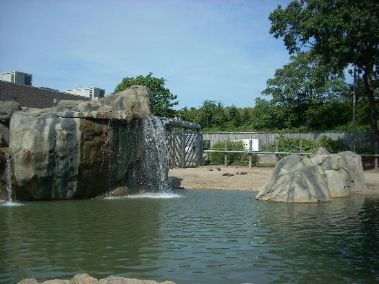 罗杰威廉斯公园动物园-普罗维登斯必去景点