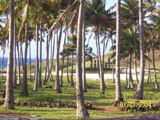 拉帕努伊国家公园-复活节岛必去景点