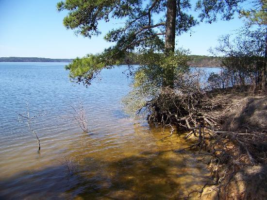 DeGray Lake Resort State Park-Bismarck必去景点
