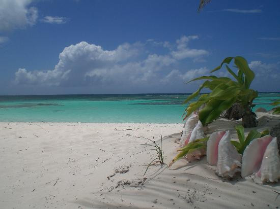 Anegada Island-Anegada必去景点