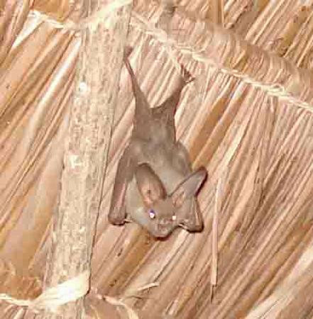 Mida Creek-瓦塔木必去景点