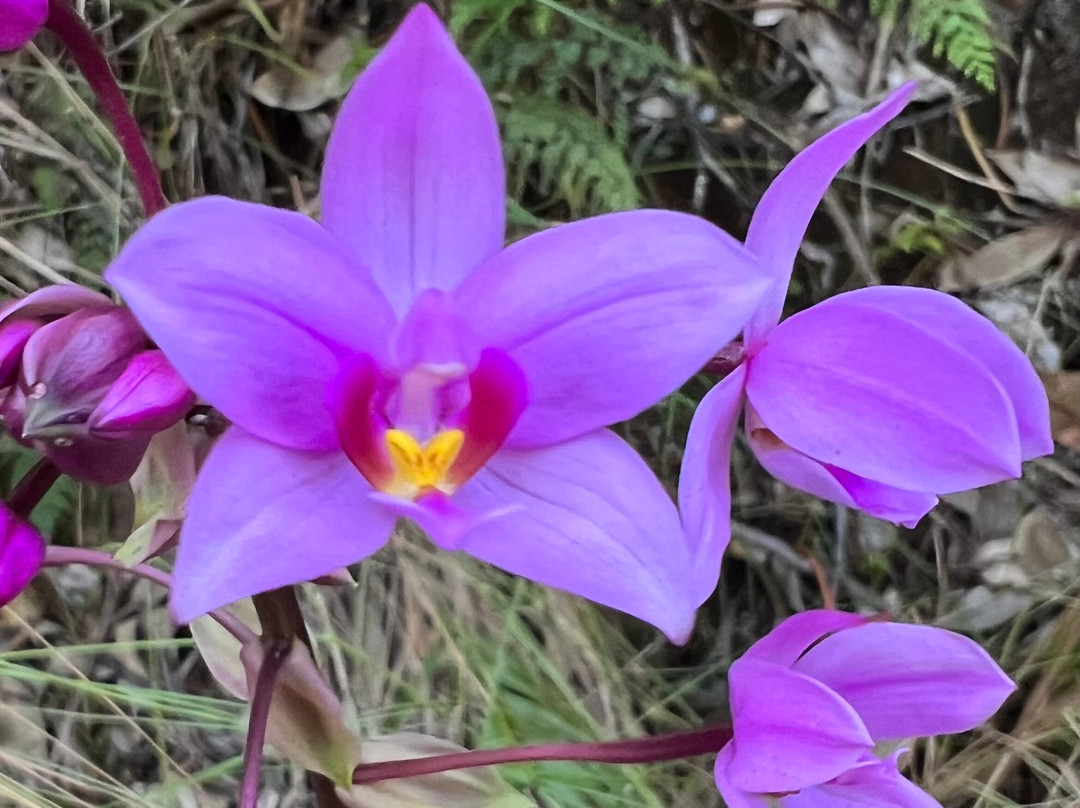 Okolehao Trail-哈纳雷伊必去景点