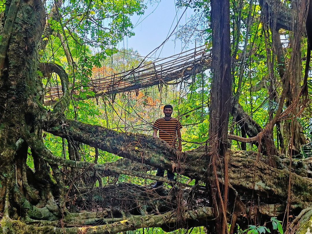 Meghalaya Eco-Tourism景点图片