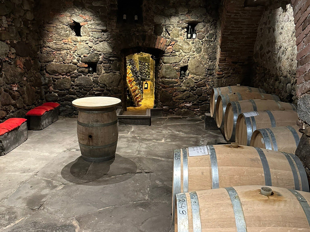 Castello Rametz - Wine Museum景点图片