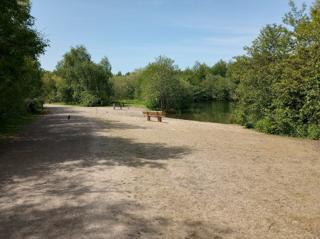 Walton Colliery Nature Park景点图片