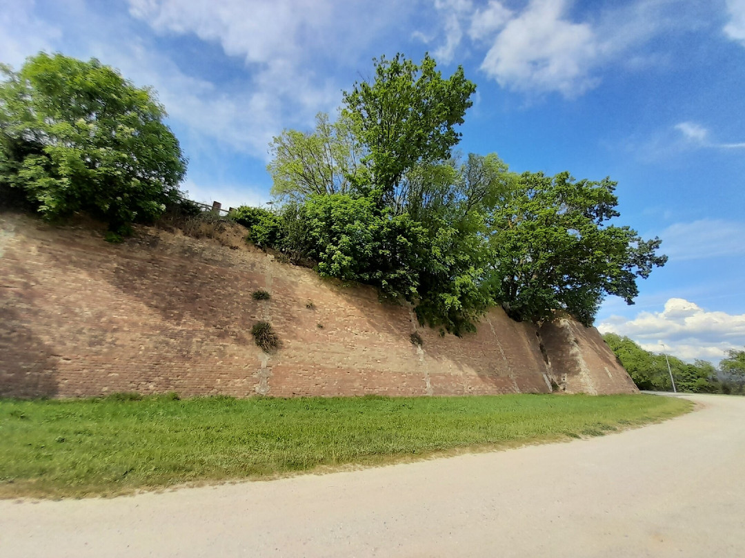 Fortezza Medicea di Poggio Imperiale景点图片