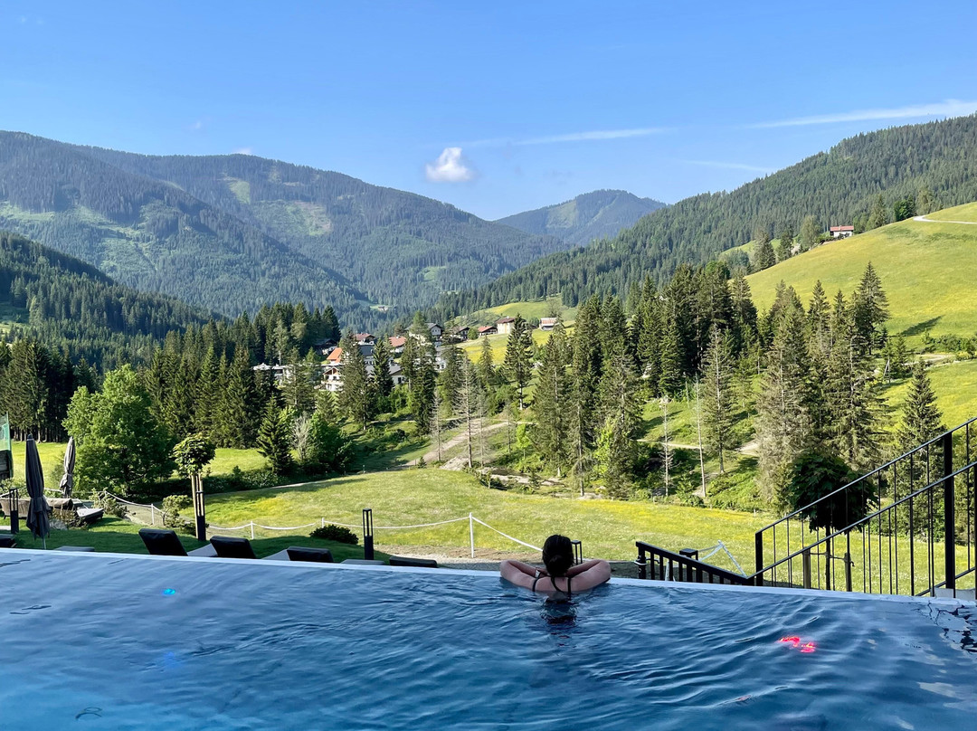 Hotel ...mein Neubergerhof主图