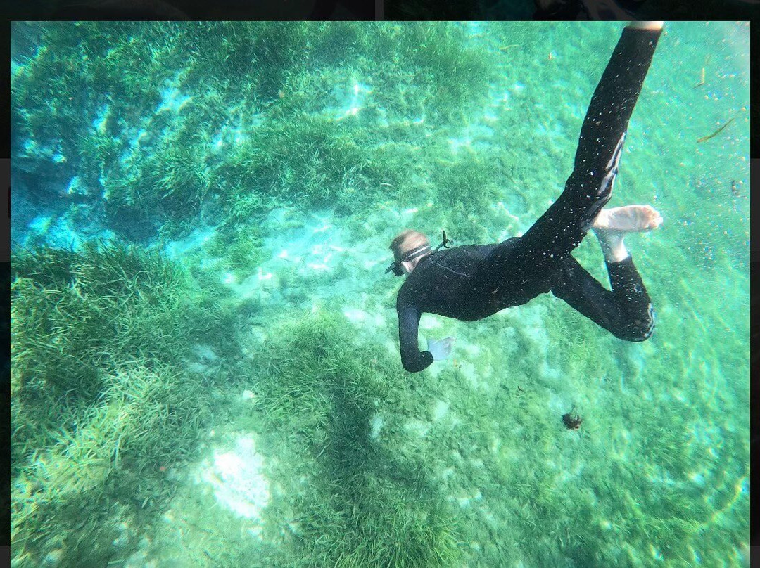 Waterfront Adventures; Swimming With The Manatees-克里斯特尔里弗必去景点