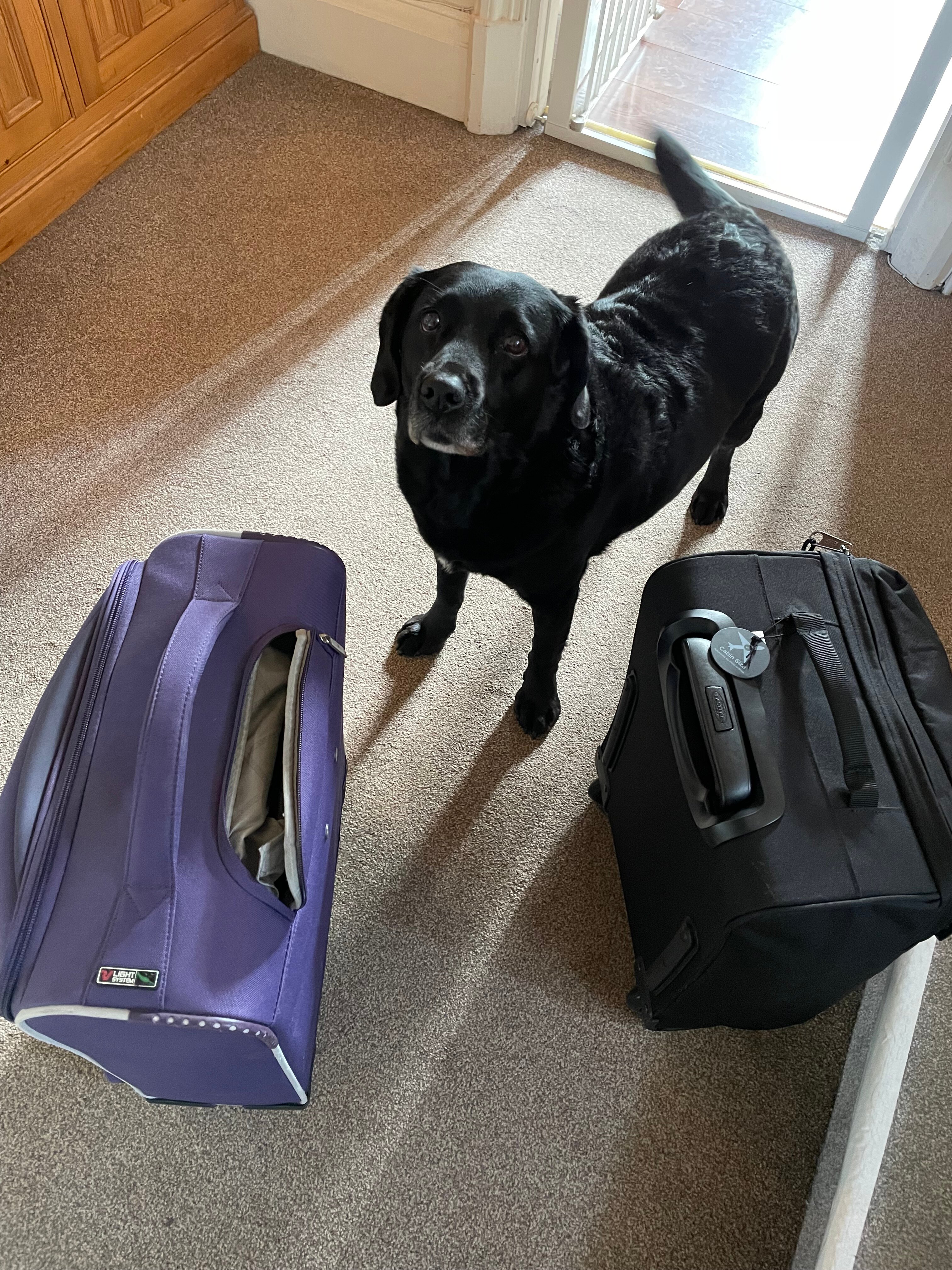 Windrush House-官方