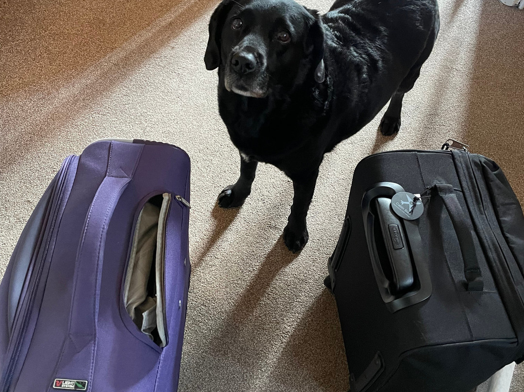 Windrush House主图