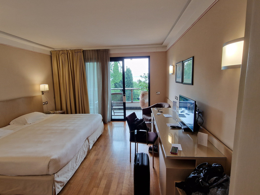 阿卡维瓦戴加尔达酒店主图