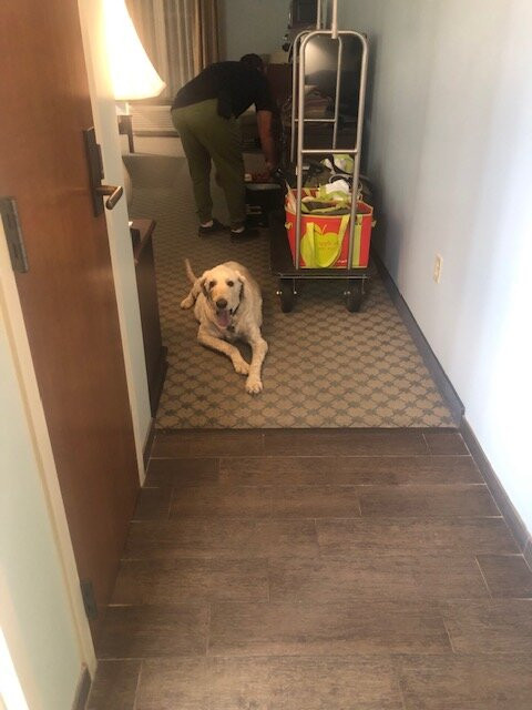 The Inn at Wise主图