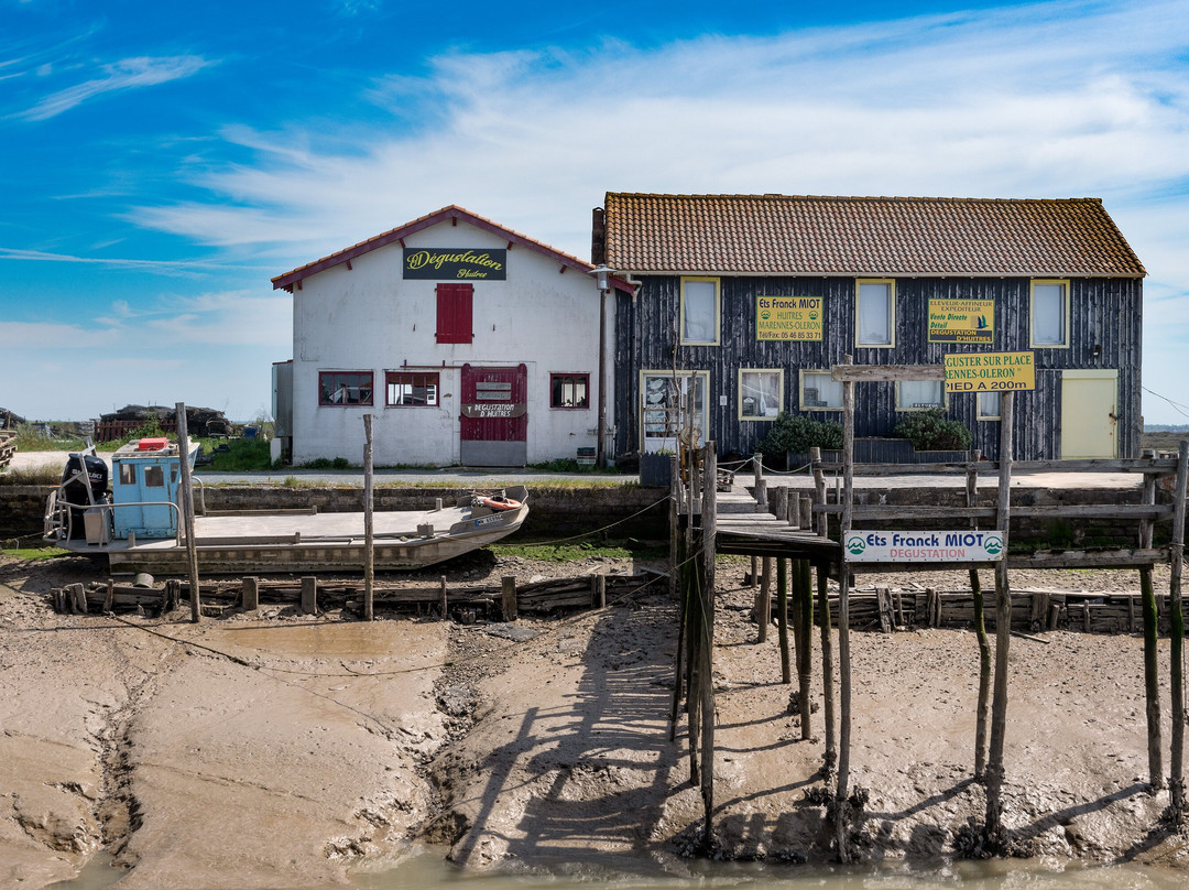 Port Ostréïcole De Marennes景点图片