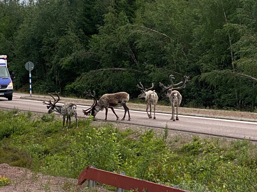 Åsens Vandrarhem, Uvboet主图