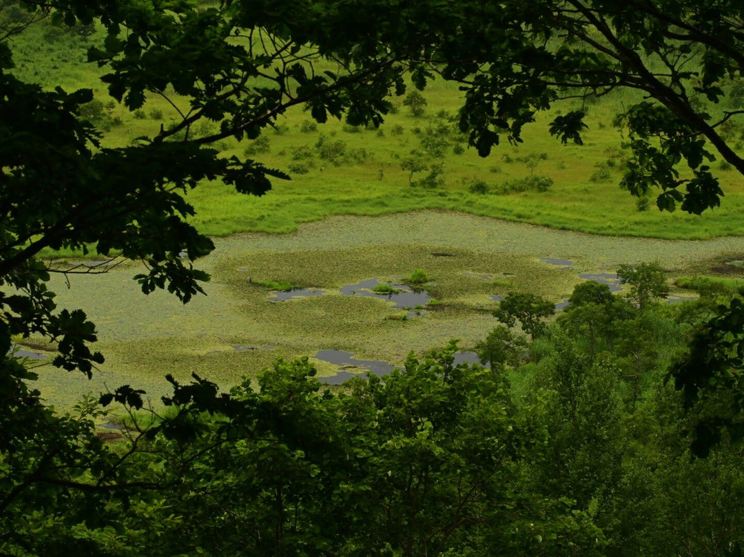 Sarurun Observation Deck-标茶町必去景点