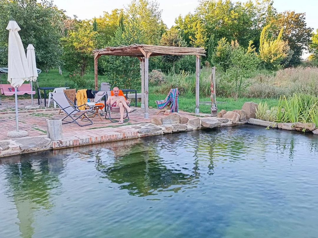 Azienda Agricola Passerini - Agriturismo Podere Padolecchie主图