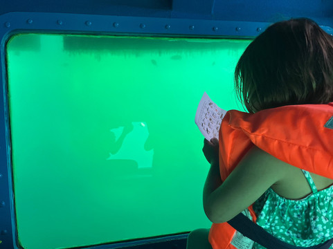 Aquarama-塞新布拉必去景点