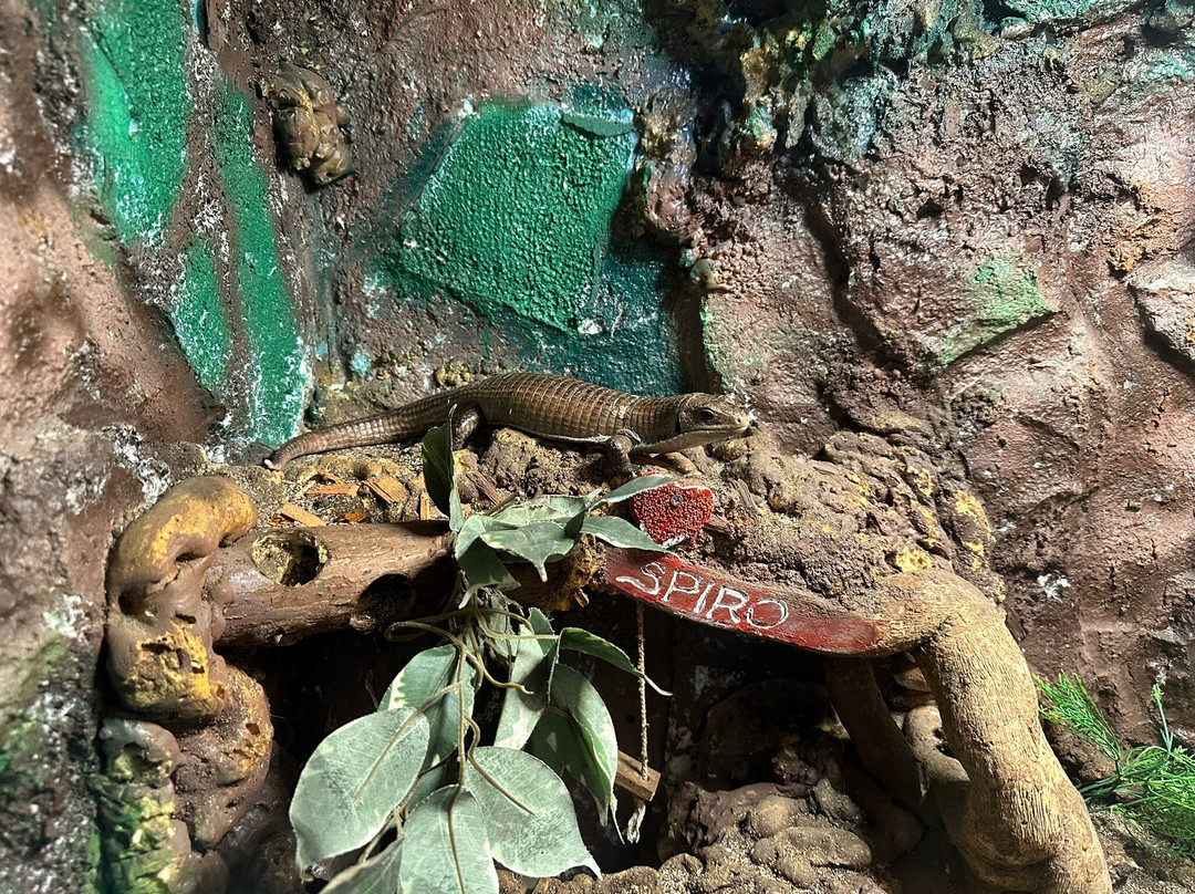 Aquarium Terrarium Sibenik-希贝尼克必去景点