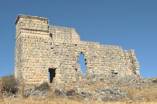 Ciudad Romana de Acinipo景点图片