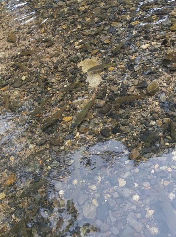 Khlong Phaibun Waterfall-考其谷必去景点