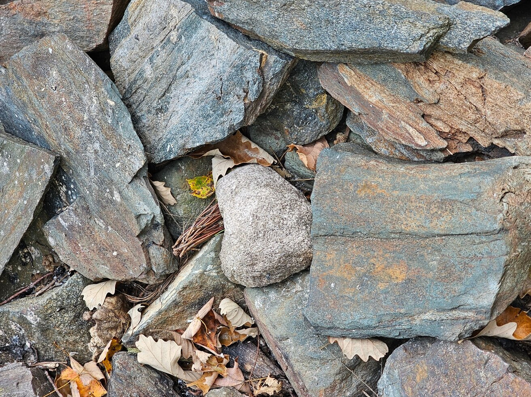 Black River Retreat主图