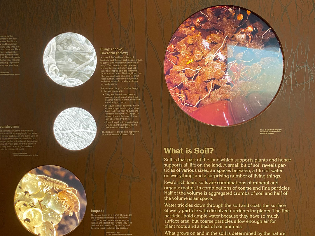 Museum of Natural History-爱荷华城必去景点