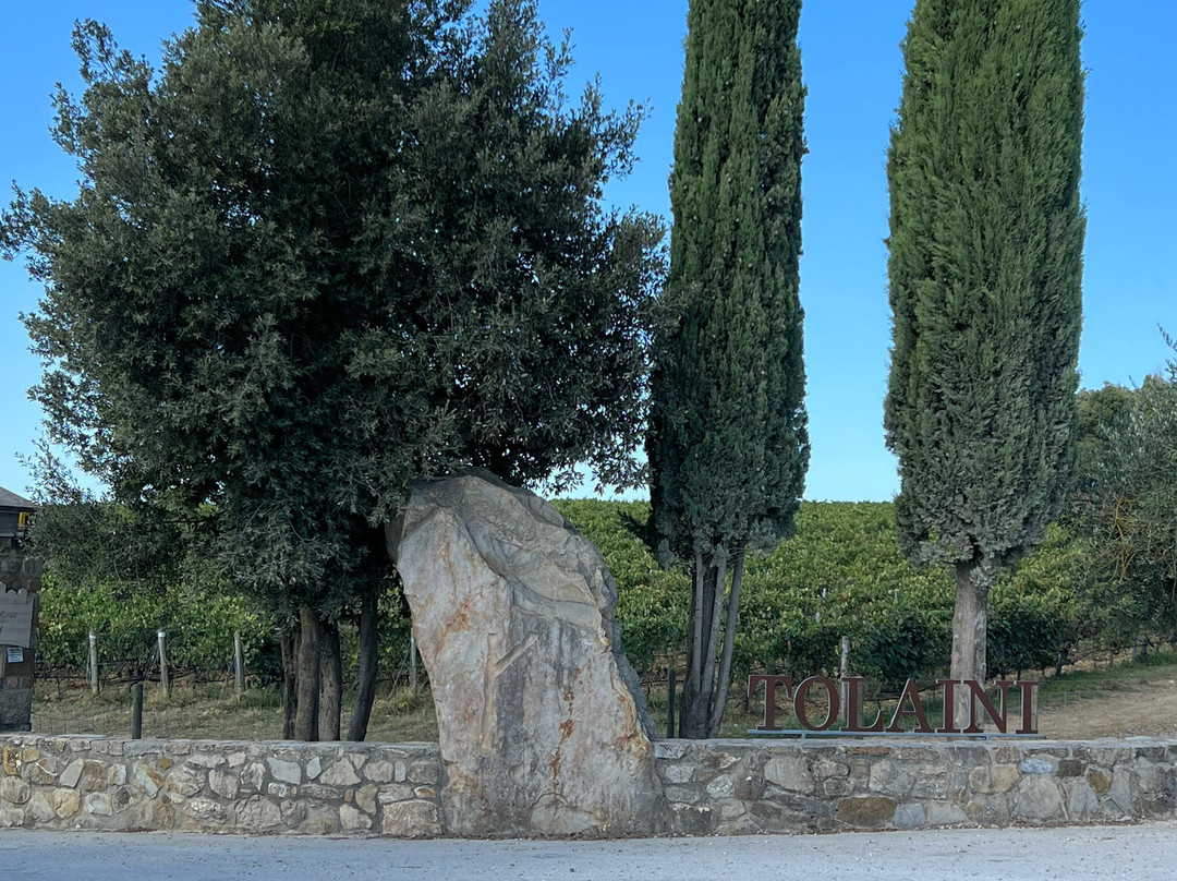 Tolaini Winery景点图片