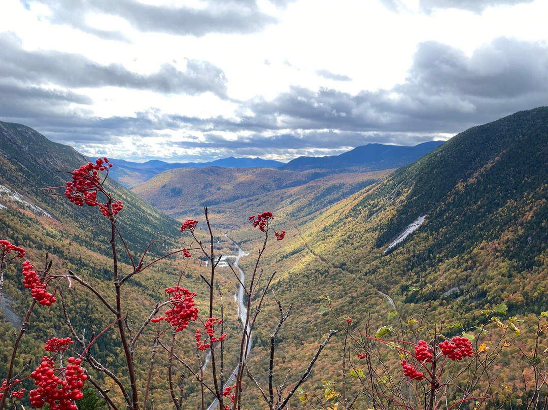 Mount Willard景点图片