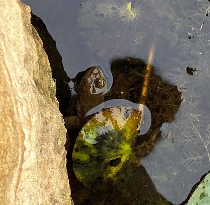 Lake Hope State Park-McArthur必去景点