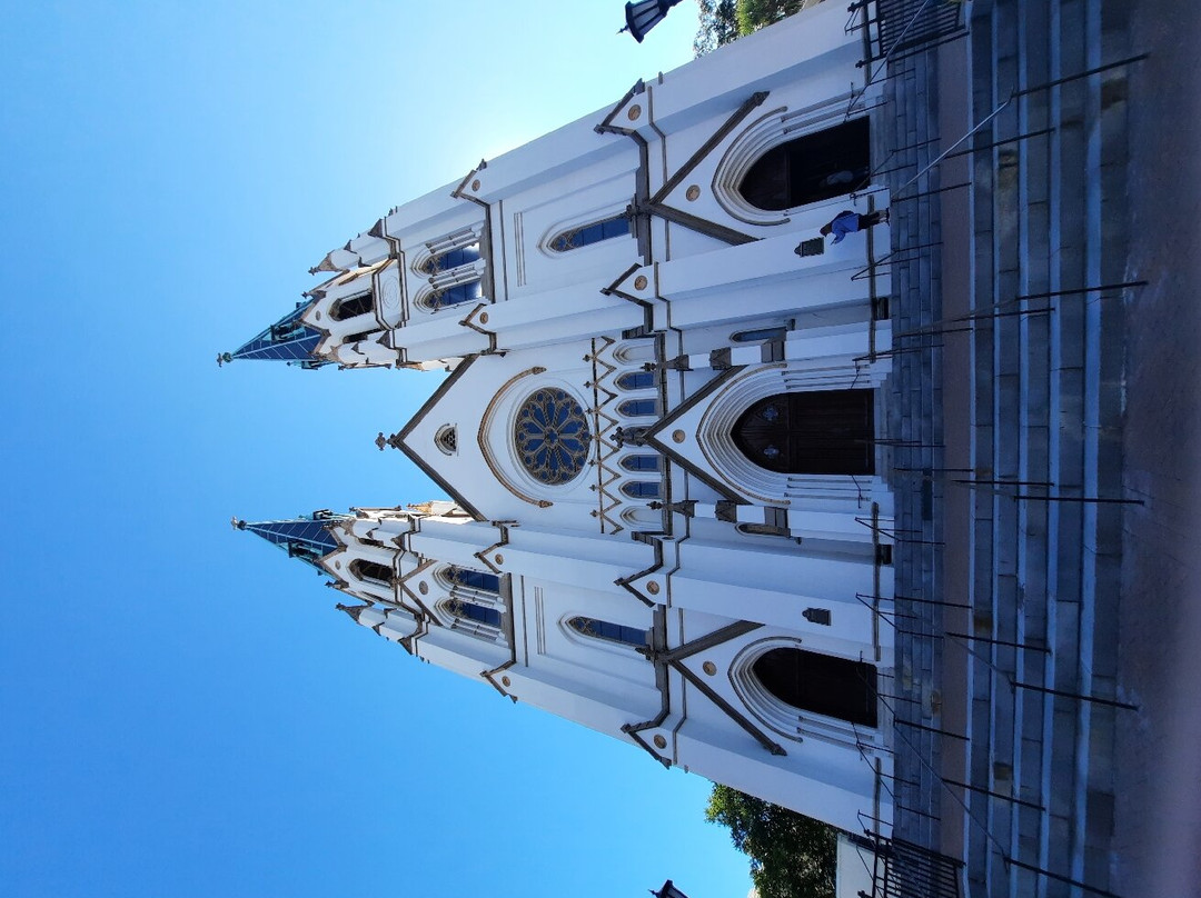 Old Town Trolley Savannah Tours-萨凡纳必去景点