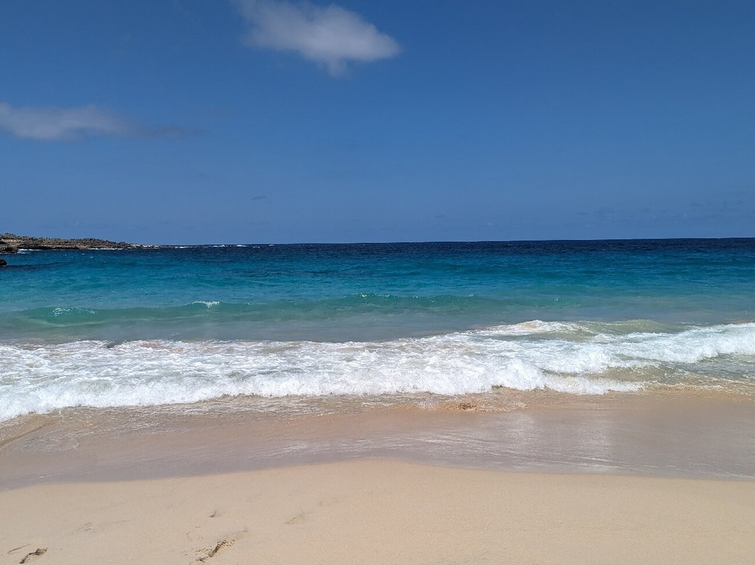 Aruba Go Cherry ATV Tours & More-Paradera必去景点