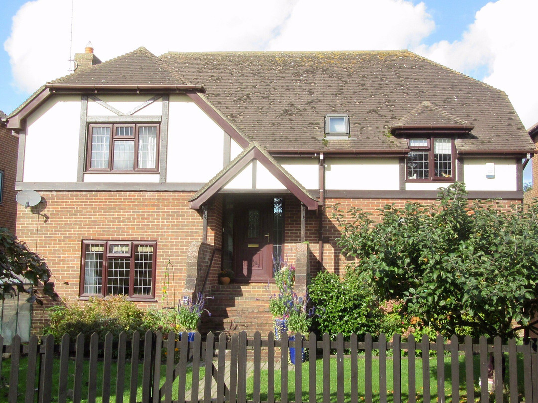 The Shimmerings主图