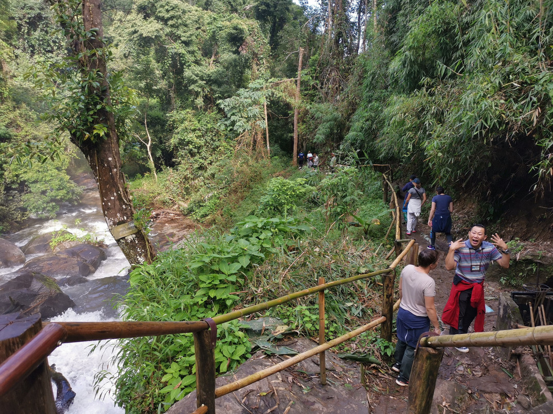 Thai Basic Stay - Day Tours-夜林必去景点