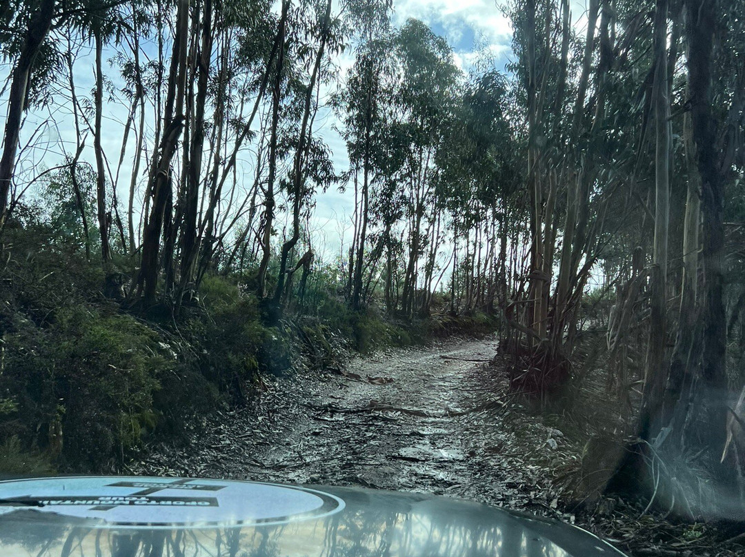 Oporto Mountain Tour-波尔图必去景点