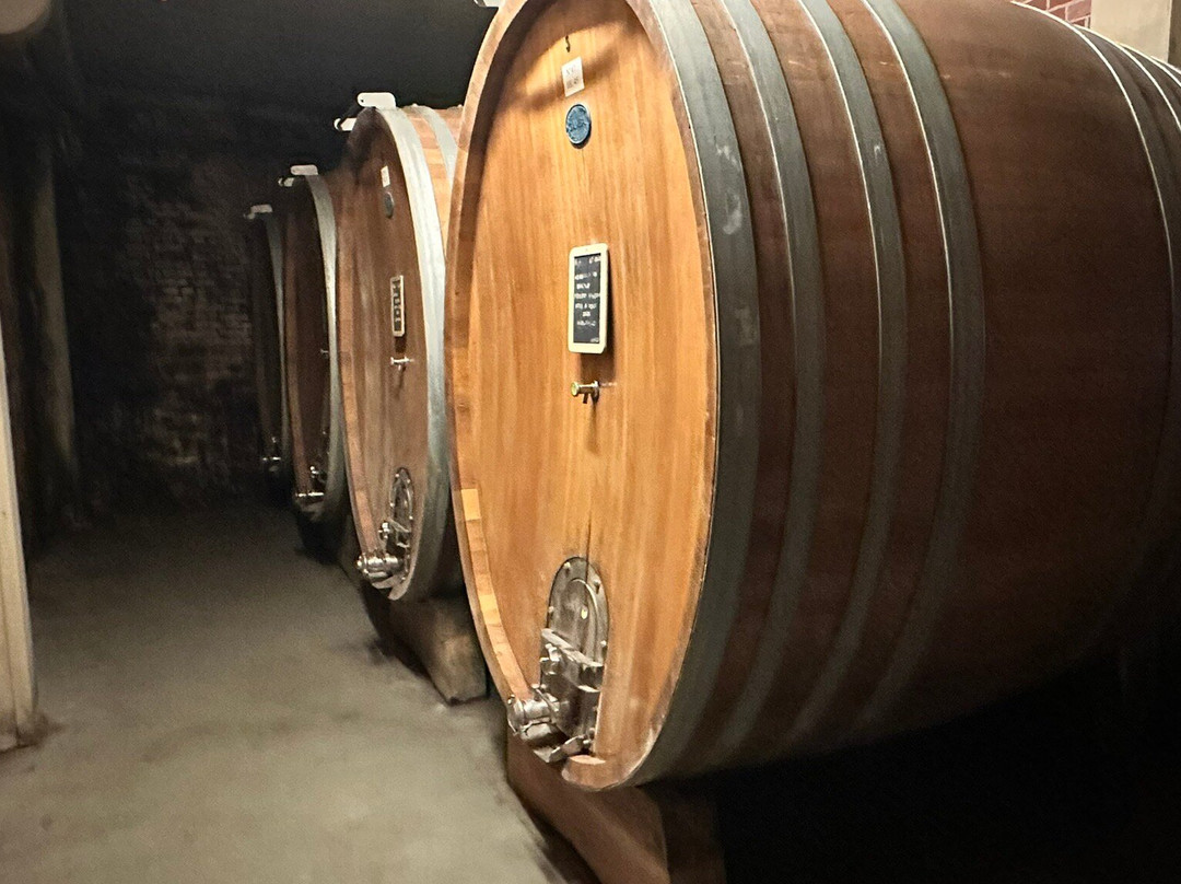 Cantina Giacomo Borgogno e Figli-巴罗洛必去景点