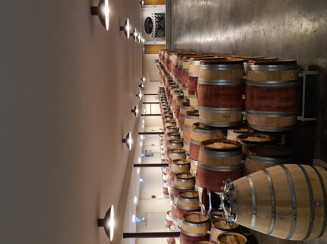 Château Malartic-Lagravière景点图片