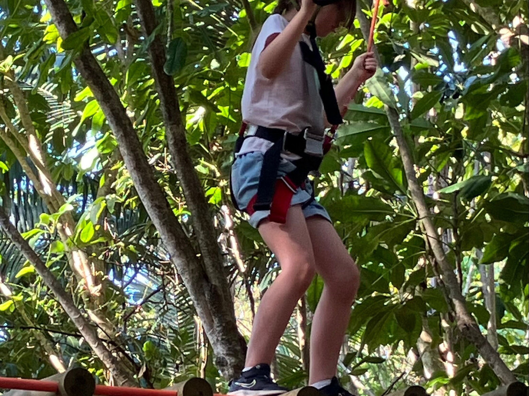 Treetop Challenge - Canyon Flyer景点图片