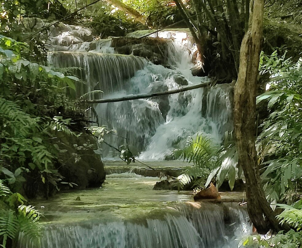 Doi Luang National Park-攀县必去景点