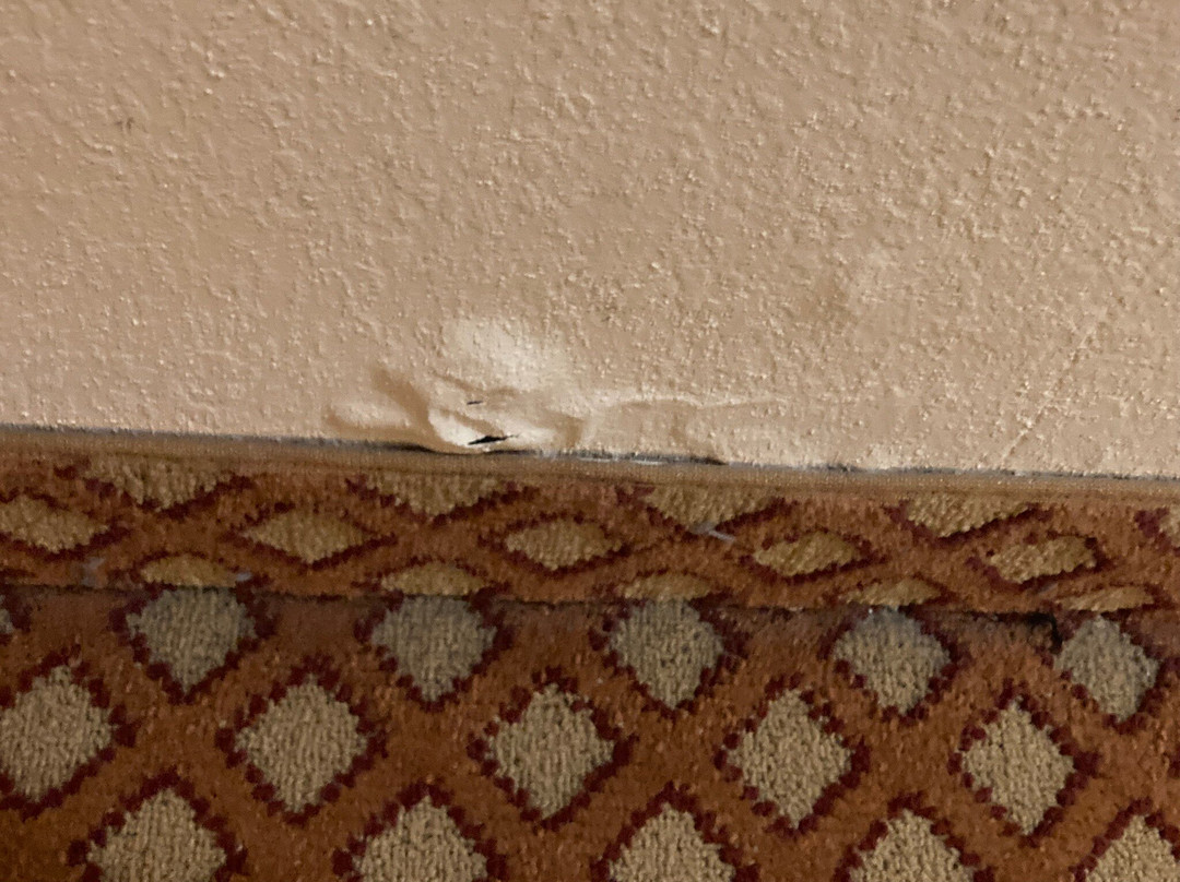 Quality Hotel Conference Center Cincinnati Blue Ash主图