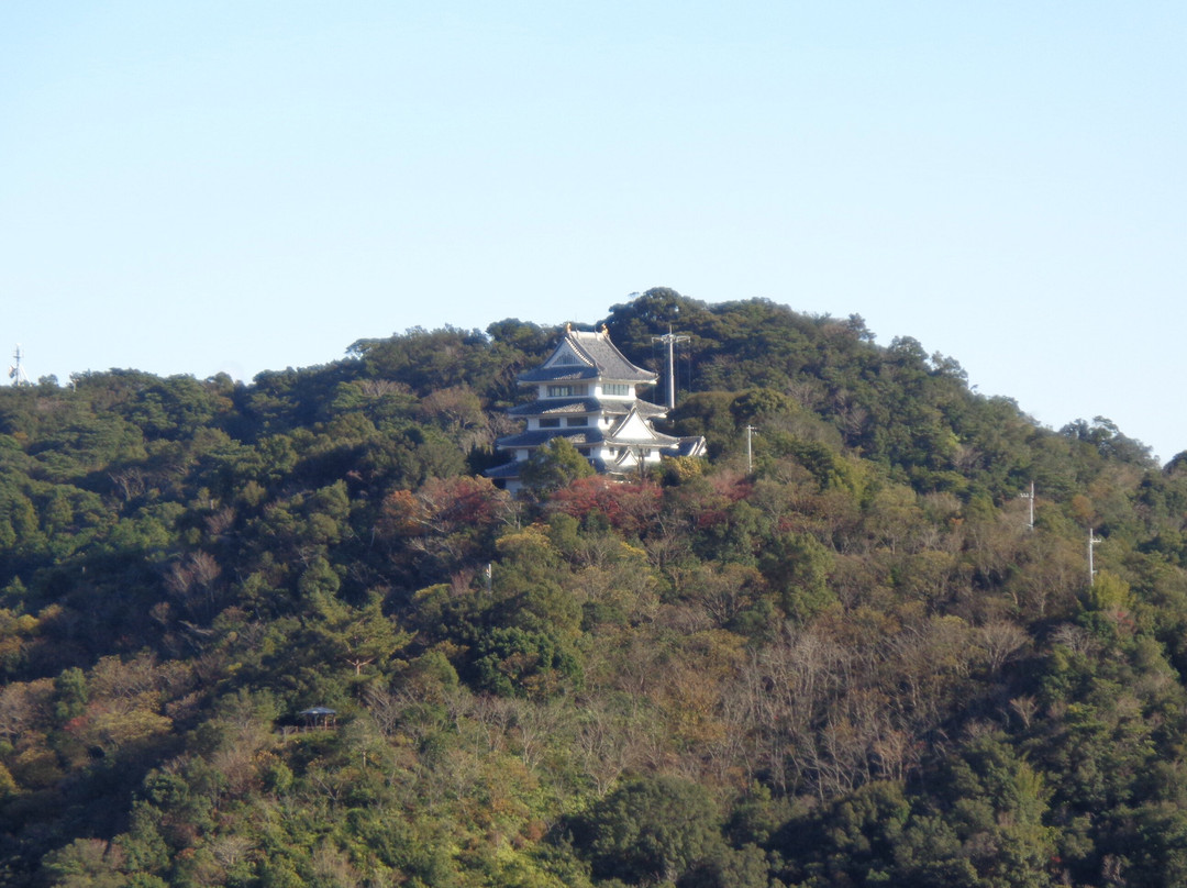 Hiwasa Castle-美波町必去景点