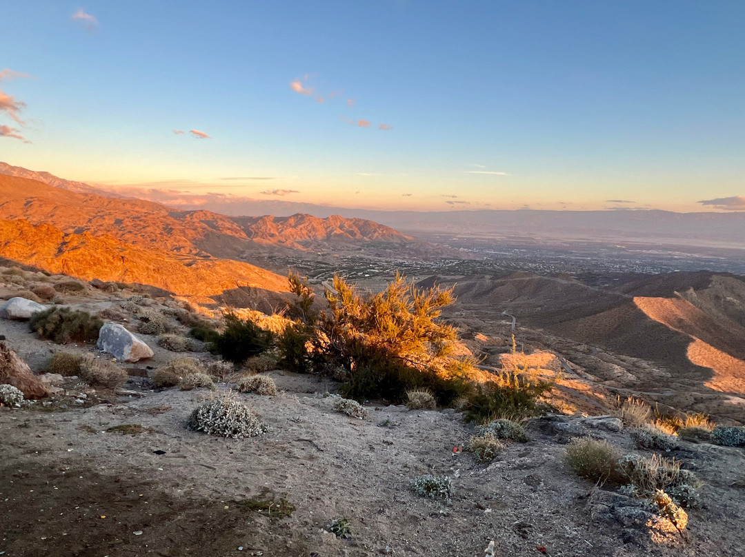 Palm Springs Visitor Center-棕榈泉市必去景点