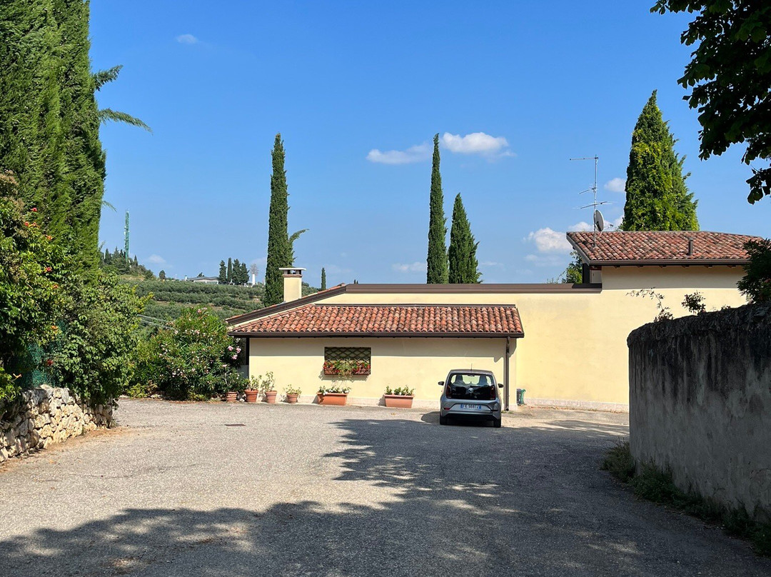 Cantina Giovanni Ederle景点图片