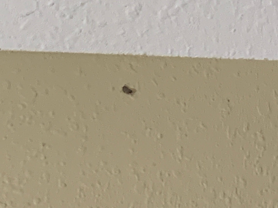 Hampton Inn Ottumwa主图