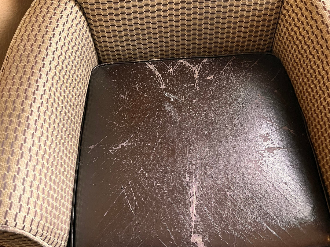 La Quinta Inn & Suites by Wyndham Searcy主图