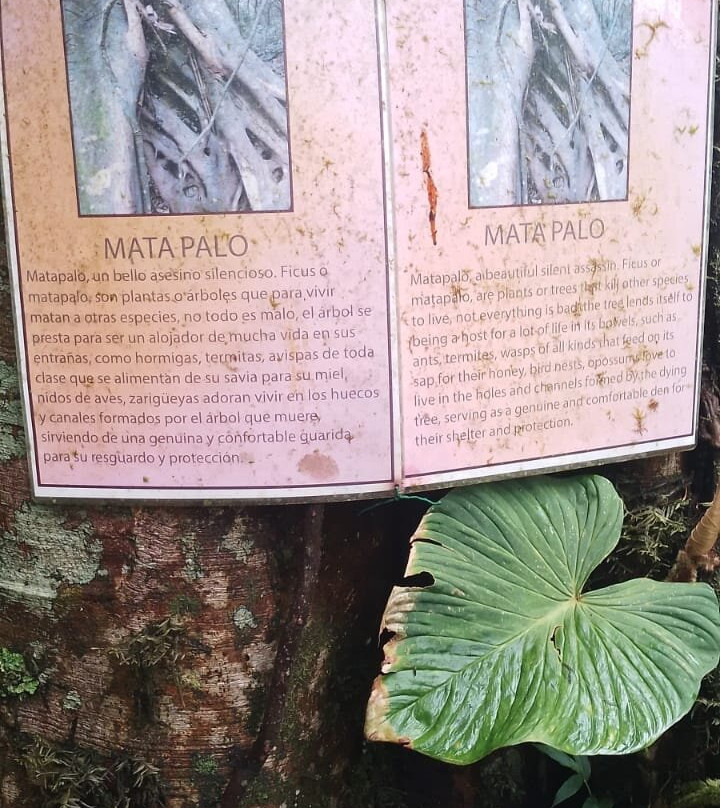 Las Montañas En Mindo-明多必去景点