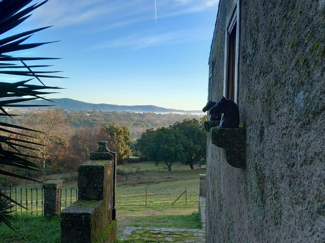 Casa da Vinha
