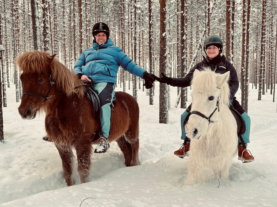 Horses of Taiga景点图片