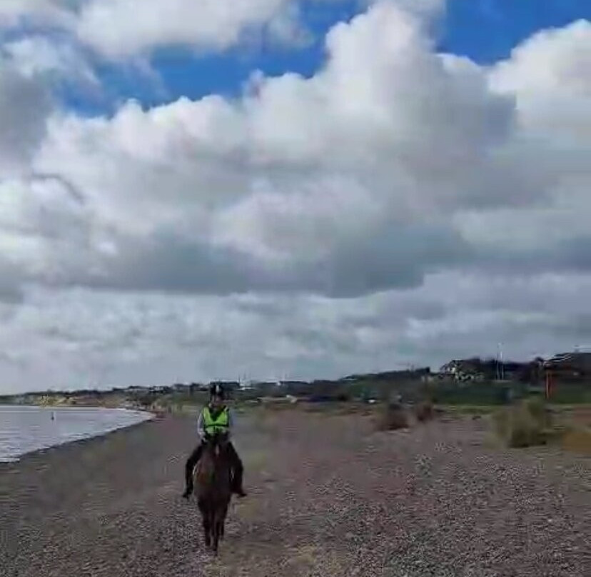 Pakefield Riding School-洛斯托夫特瓷必去景点