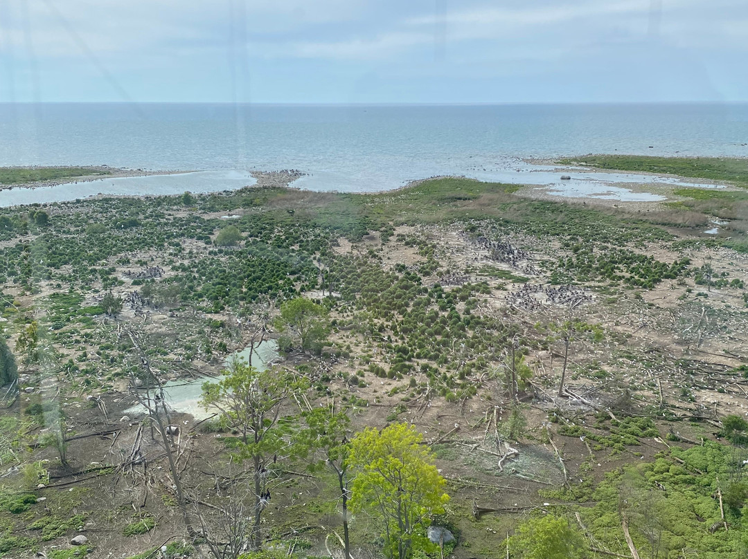 Chantry Island Lighthouse Tour景点图片