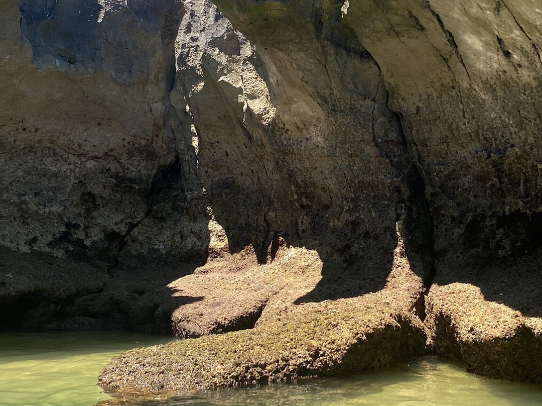 Praia da Conceicao景点图片